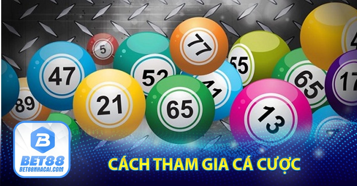 Cách tham gia cá cược